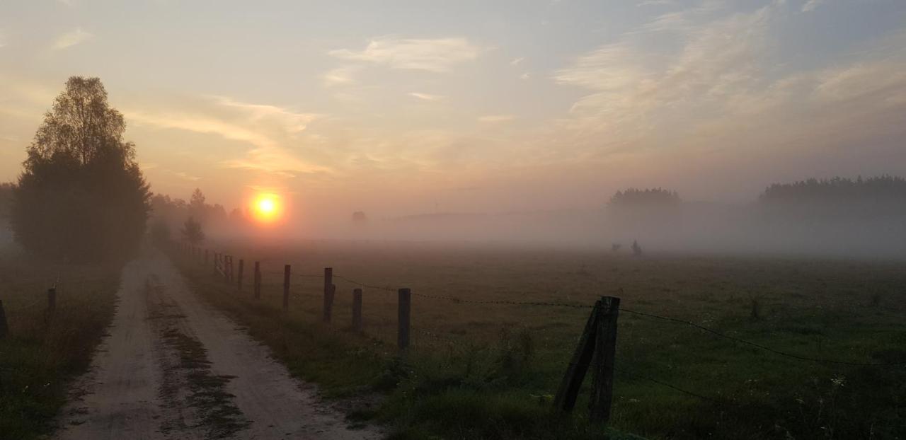 Zdalnie Z Lasu - Siedlisko W Puszczy Bialowieskiej Narewka Extérieur photo