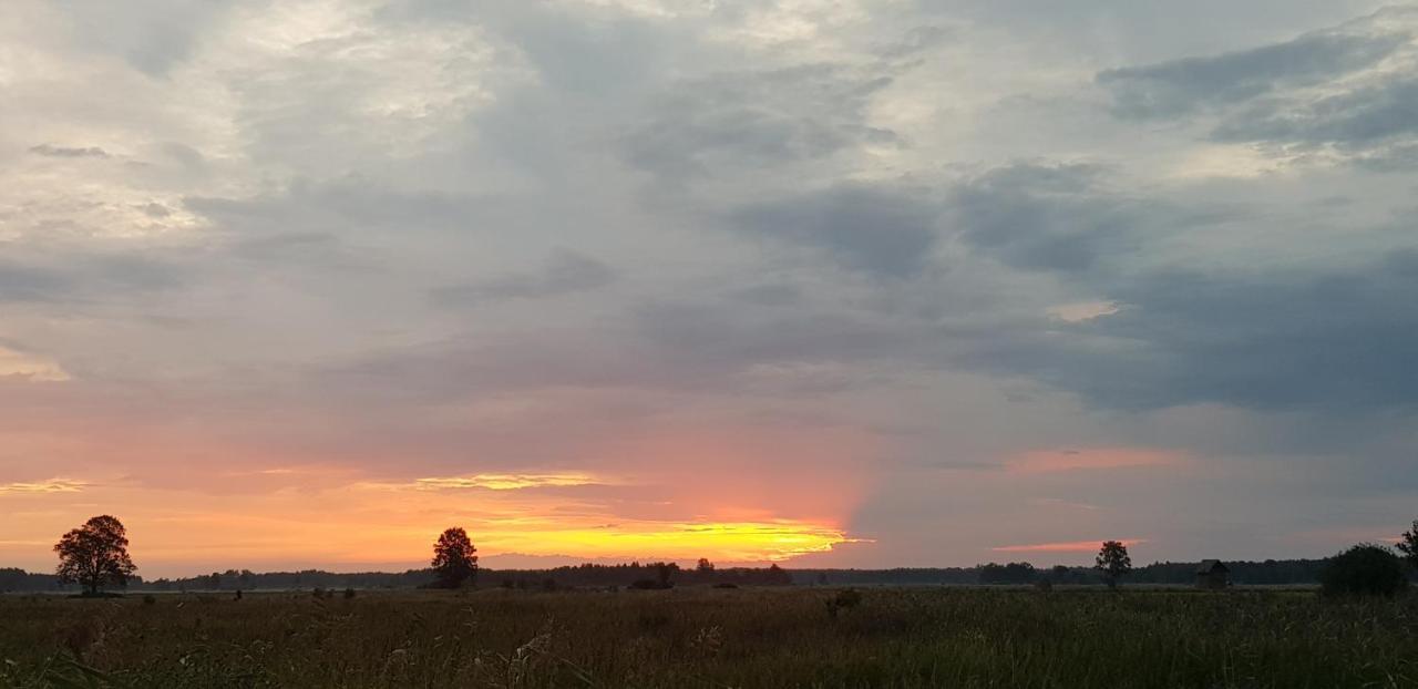 Zdalnie Z Lasu - Siedlisko W Puszczy Bialowieskiej Narewka Extérieur photo
