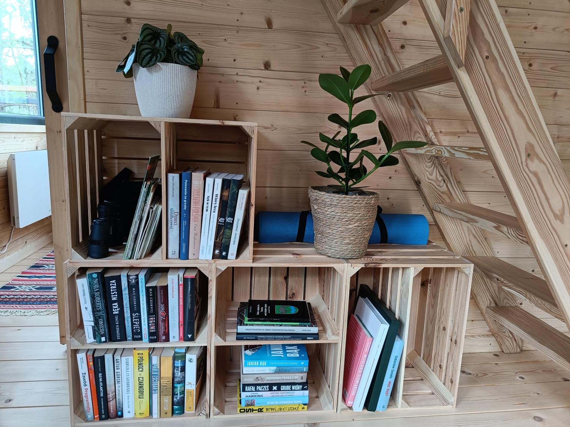 Zdalnie Z Lasu - Siedlisko W Puszczy Bialowieskiej Narewka Extérieur photo