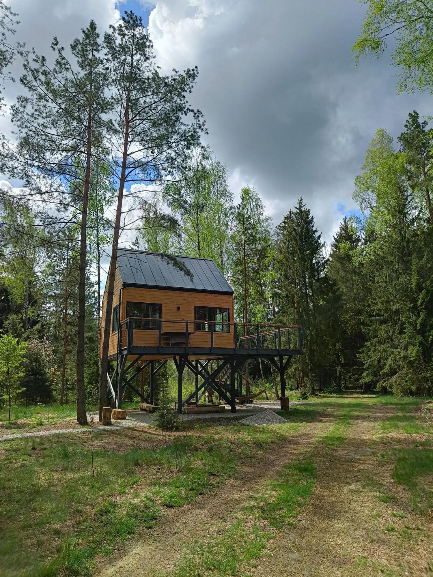 Zdalnie Z Lasu - Siedlisko W Puszczy Bialowieskiej Narewka Extérieur photo