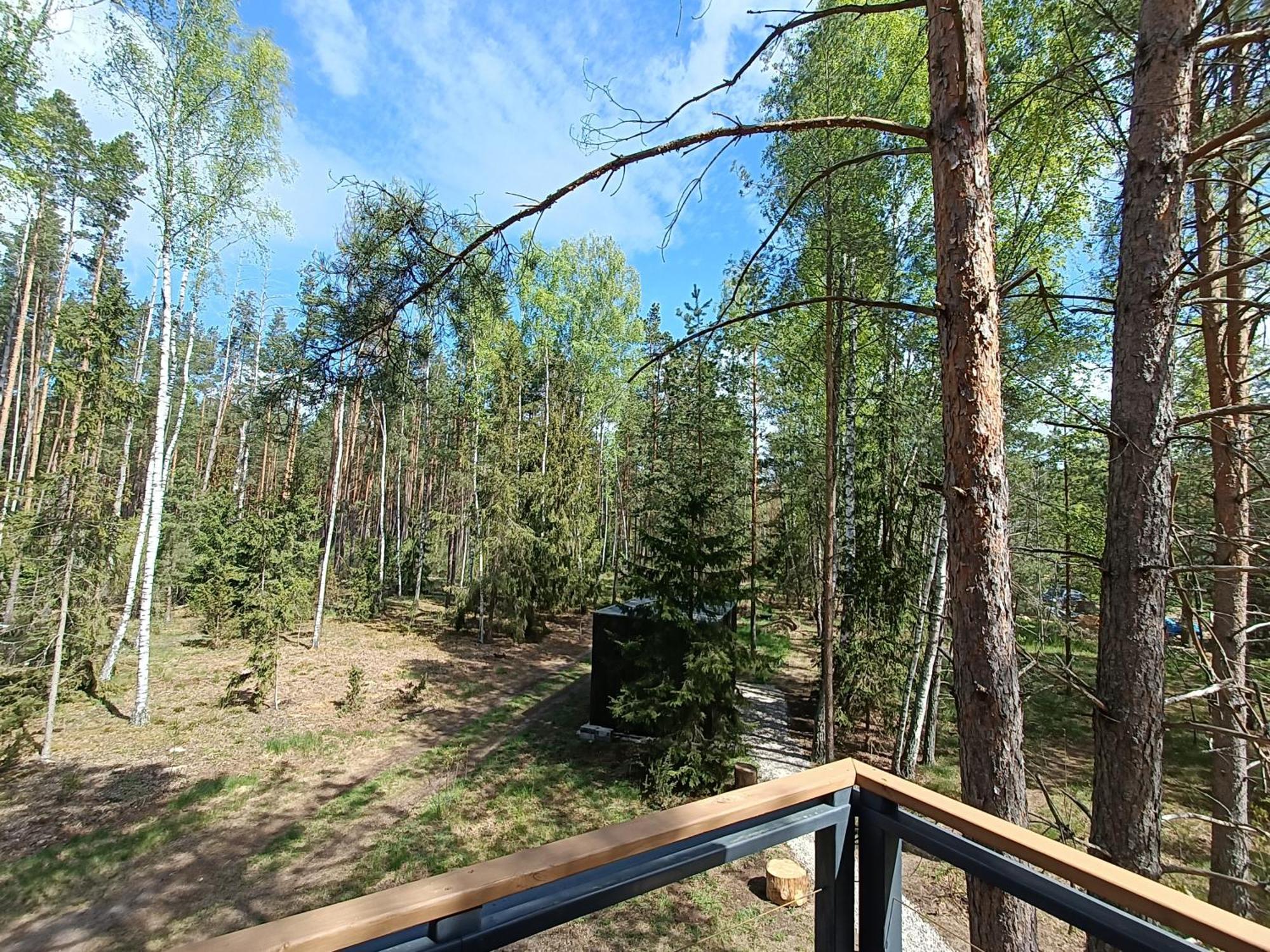 Zdalnie Z Lasu - Siedlisko W Puszczy Bialowieskiej Narewka Extérieur photo