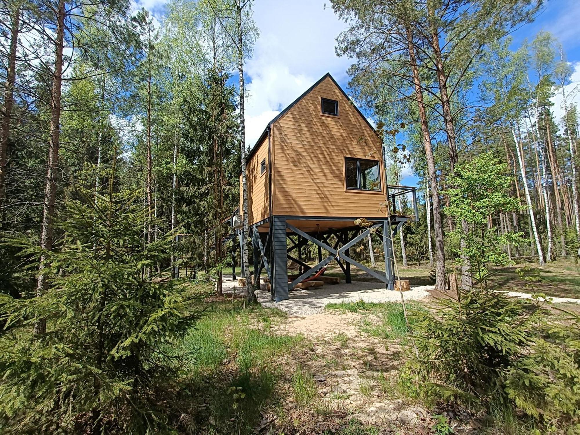 Zdalnie Z Lasu - Siedlisko W Puszczy Bialowieskiej Narewka Extérieur photo